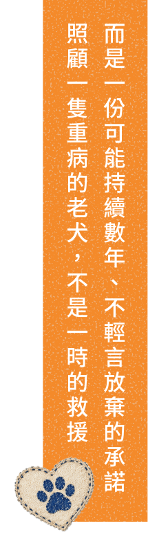 照顧一隻重病的老犬，不是一時的救援 而是一份可能持續數年、不輕言放棄的承諾