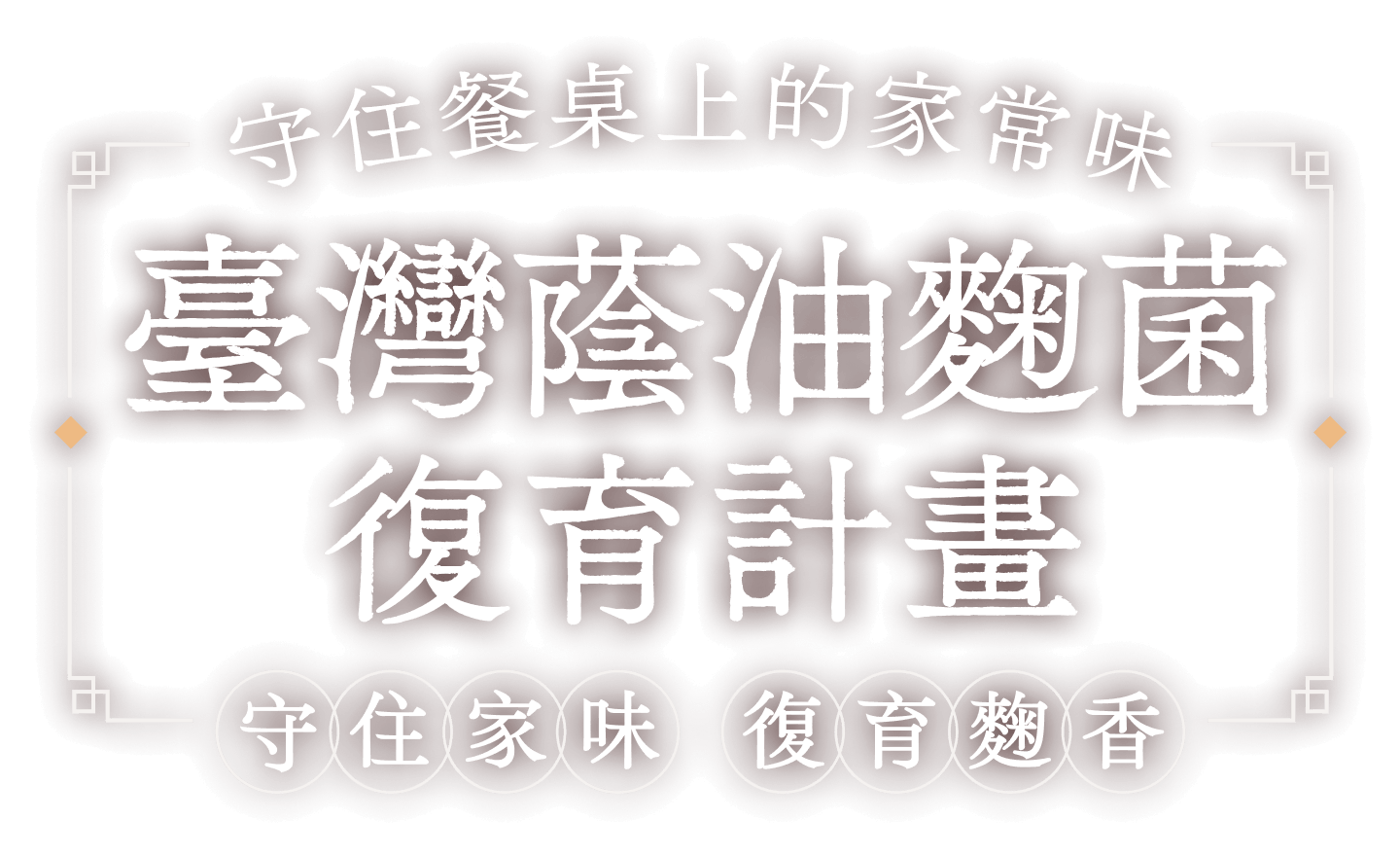 守住餐桌上的家常味，臺灣蔭油麴菌復育計畫