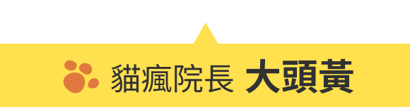貓瘋院長 大頭黃