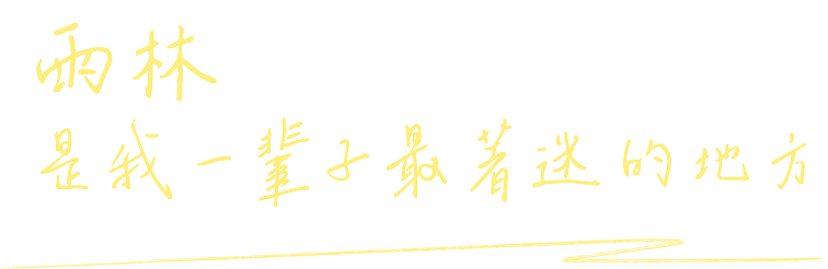 雨林是我一輩子最著迷的地方