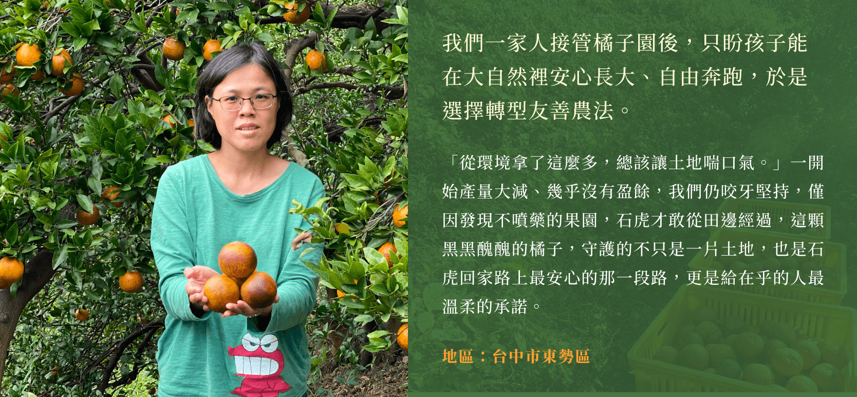 「黑醜醜的外觀,送人都遭嫌棄,偏偏知道「醜橘子」價值的人少之又少...」我們一家人接管橘子園後,只盼孩子能在大自然裡安心長大、自由奔跑,於是選擇轉型友善農法。「從環境拿了這麼多,總該讓土地喘口氣。」一開始產量大減、幾乎沒有盈餘,我們仍咬牙堅持。因為相信,這顆黑黑醜醜的橘子,守護的是萬物安心的家,也是給在乎的人最溫柔的承諾。