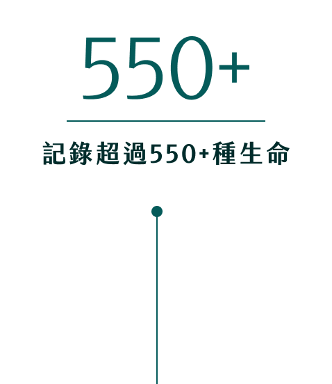 記錄超過550+種生命